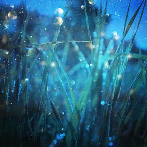 四虎成人www国产精品
