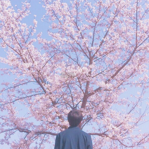 四虎成人www国产精品
